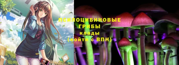 прущие крисы Ладушкин