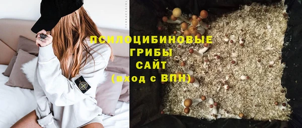 прущие крисы Ладушкин