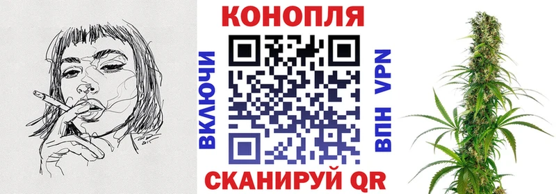 Купить закладки  Кольчугино  Марихуана VHQ 